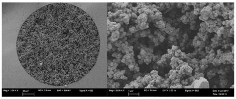 Daptomycin: A Novel Macrocyclic Antibiotic as a Chiral Selector in an ...
