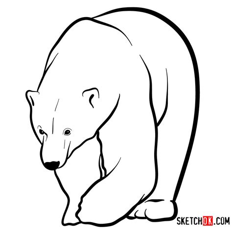 Bear Drawing Easy