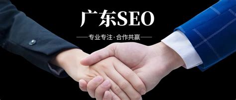 广东SEO - 广东网站优化、百度推广、网络营销 - 传播蛙