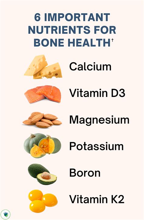 The Guide to the Best Supplements and Foods for Bone Health† — Seeking Health