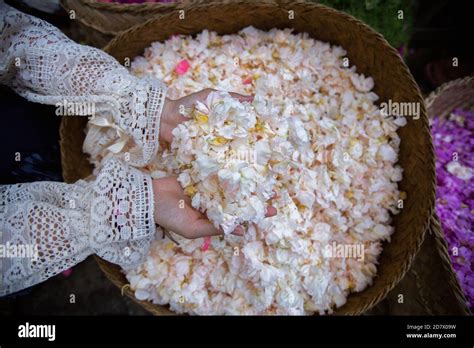 Bali Flower Market 的图像结果