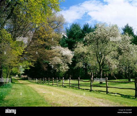 ROLLING ROCK GAME PRESERVE; OWNED BY MELLON FAMILY OF PITTSBURGH ...