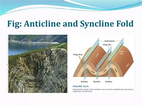Folds and types | PPTX