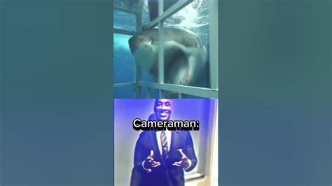 Camera Man Meme 的图像结果