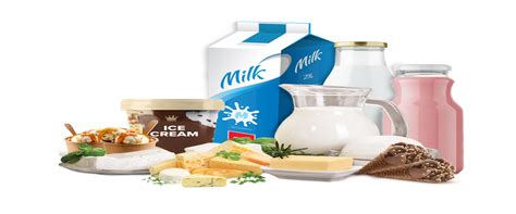 Goma – Process Technology & Equipments