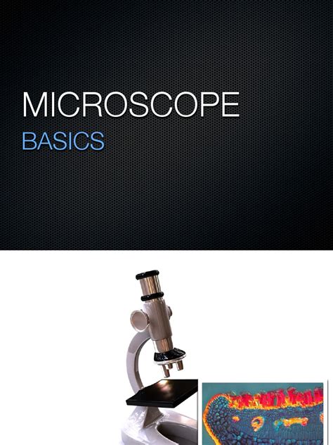 Basic Microscope Use 的图像结果