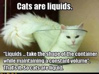 Image result for Humorus Fallacy Meme