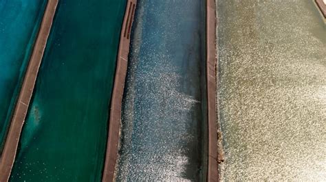 Researchers assess the damage to environment caused by tannery ...