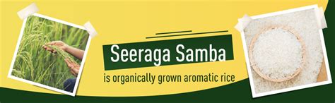 B&B Organics Aromatic Seeraga Samba Rice (6kg)/ Traditional Rice ...