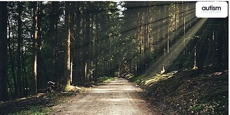 Worcester Wellbeing Walk for Autistic Adults, Worcester Woods Country ...