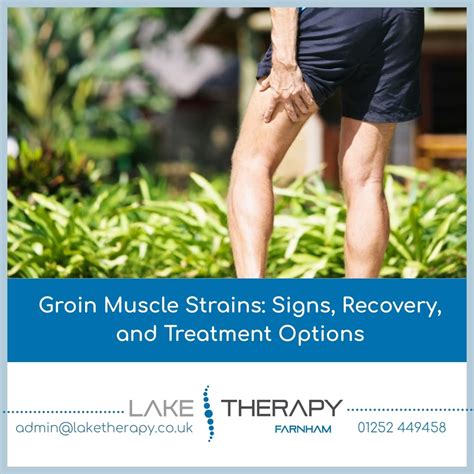 Groin Muscle Strains: Symptoms, Recovery & Treatment | Lake Therapy