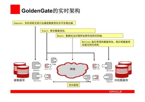 Image result for Oracle Golden Gate Tutorial