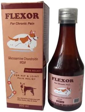 Chelsea Chronic Pain Relief Syrup for Pet's Hip & Joint Pain Relief ...