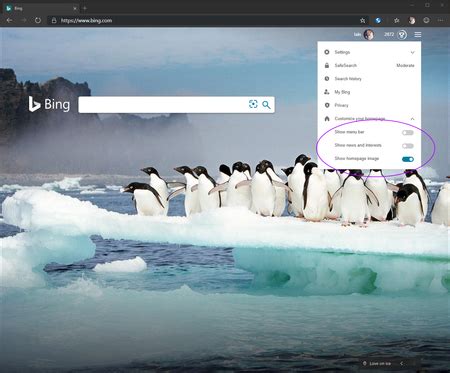 Customize Bing Homepage 的图像结果