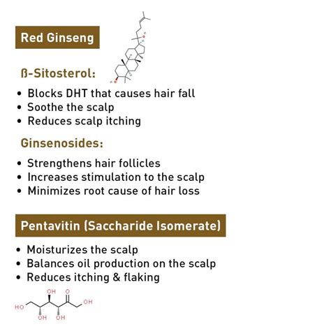 Korean Red Ginseng Hair Serum,Blocks DHT,Pentavitin,Caffeine,VitaminB5 ...