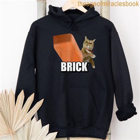 Funny Cat Throwing Brick Italian Brainrot Cat Meme T-shirt