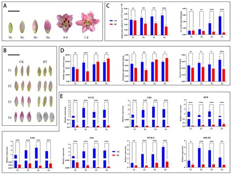Transcriptomic Profiling of Heat-Treated Oriental Lily Reveals LhERF109 ...