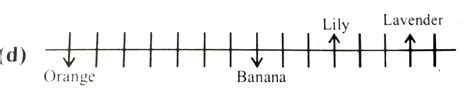 A certain number of persons sit in a row adjacent to each other. Some ...