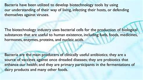 Biotechnology Bacteria 的图像结果