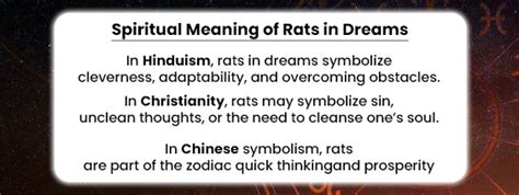 Dreaming of Rats: Spiritual Meaning, Dead Rats & More