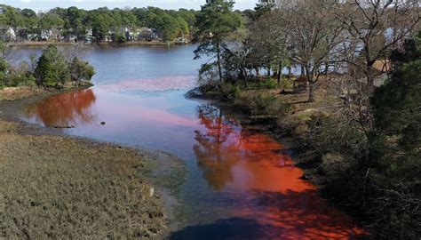 Non-toxic red dye spills into Elizabeth River