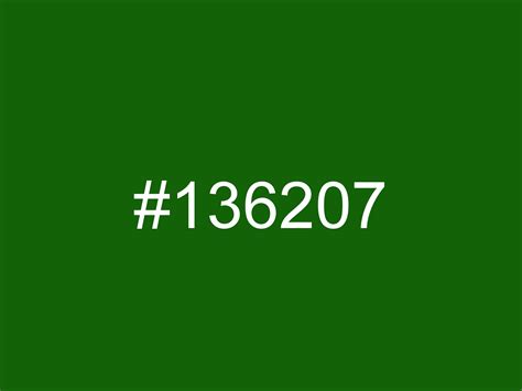 Royal green color (Hex 136207)