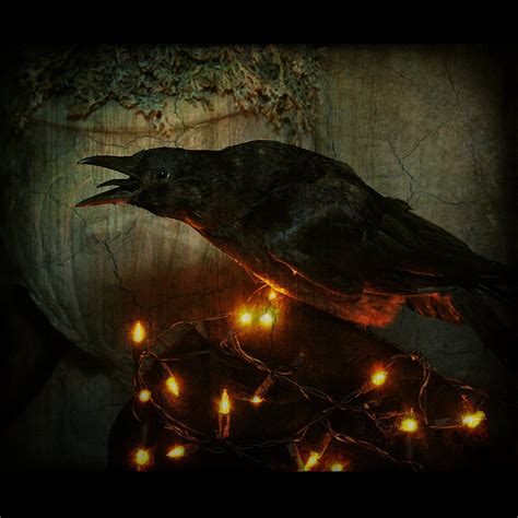 Quoth the raven, "Nevermore." | But the raven still beguilin… | Flickr