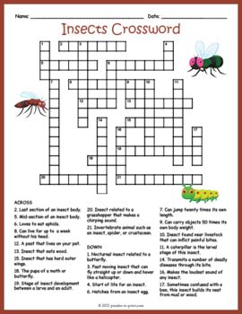 No Prep Bugs and Insects Crossword Puzzle by Puzzles to Print | TpT
