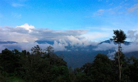 CHAVI VILLAGE RESORT (Pedong) - Lodge Reviews & Photos - Tripadvisor