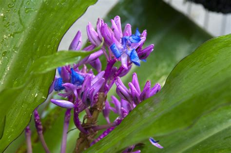 Course Descriptions | Academic Center for Exploratory Students