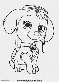 malvorlagen paw patrol sky paw patrol ausmalbilder sky das beste last chance malvorlagen paw patrol sky paw patrol ausmalbilder sky das beste last chance