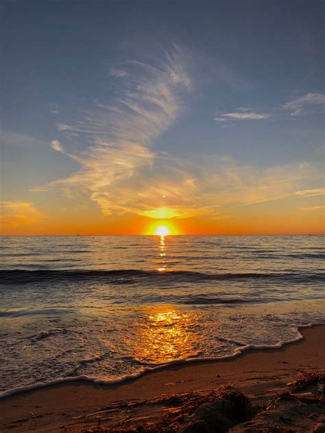 Image result for Sunset Python Snake