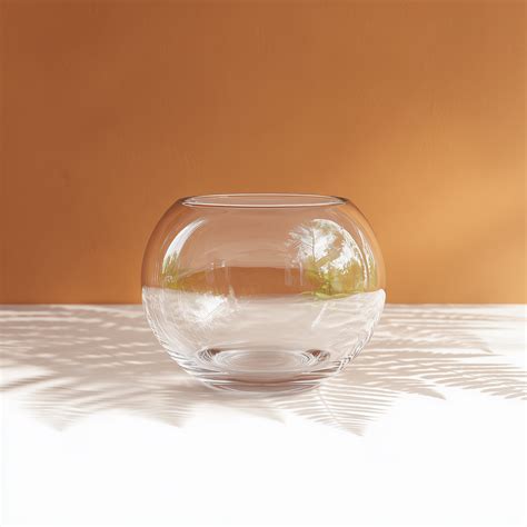 Terrarium Glass - 20cm Fish Bowl – Koda Moss