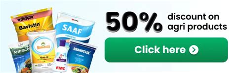 Corteva Novolect (Florpyrauxifen-benzyl 2.13% +Cyhalofop-butyl 10.64% ...