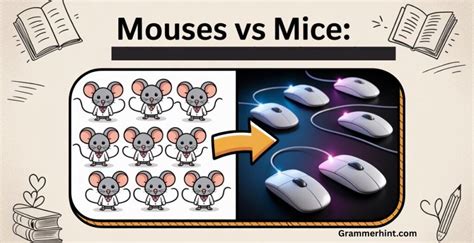 Mouses vs Mice: What's the Correct Plural of Mouse? - grammerhint.com