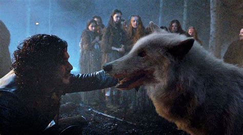 Direwolf Game Of Thrones Ghost