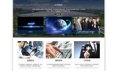 江苏常州恒立液压公司集团形象网站建设 - 常州上华广告公司