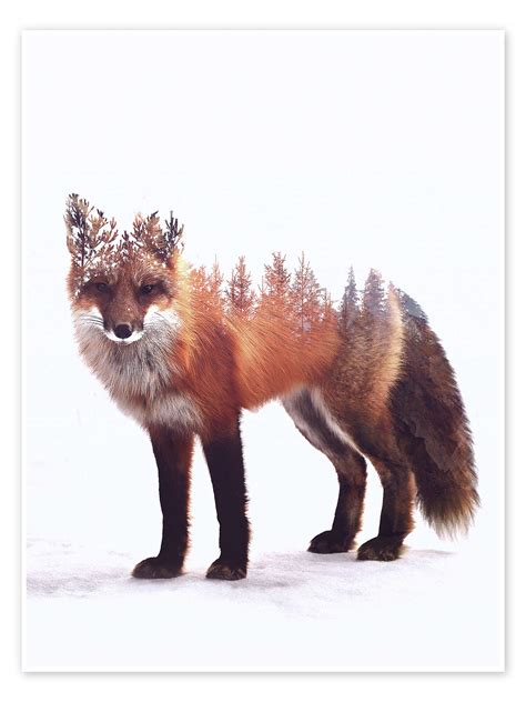 Forest Fox print by Peg Essert | Posterlounge