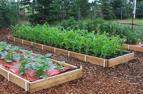 19+ How to Build Raised Garden Beds - Ceplukan | Building a raised ...