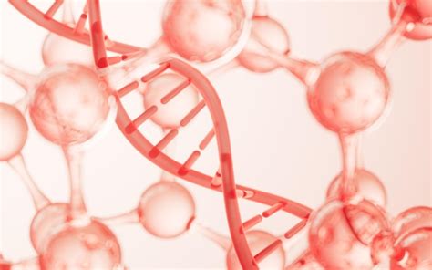Biological Structure Design 的图像结果