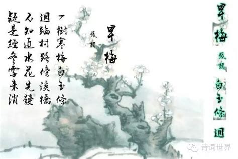 五首咏梅诗词，王安石经典，陆游惊艳，18岁的李清照最是出口狂傲