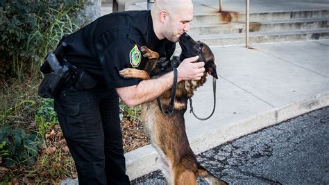 Meet the Muncie Police Department's new K-9s