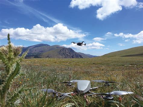 Insect Drones 的图像结果