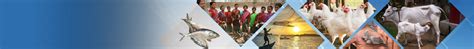 Animal Husbandry Schemes | Fisheries & Animal Resources Development ...