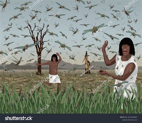 Locusts In The Bible