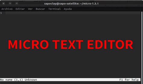 Image result for How to Use Micro Text Editor
