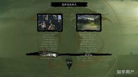 Steam 购买《巫师1》设置成中文后对话还是英文，而且对话没声音怎么办? - 知乎
