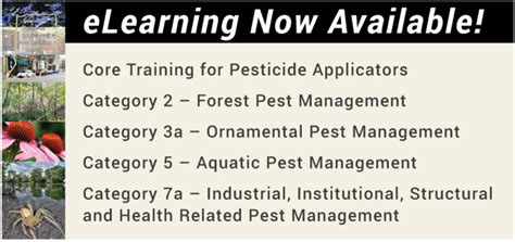 Image result for eLearning Programme