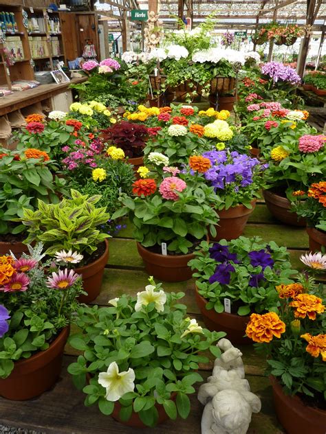 Half.moon Bay Nursery at John Halliburton blog