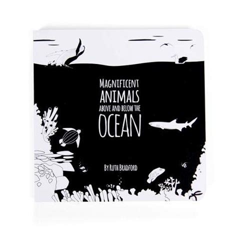 Buy Magnificent Animals from Above and Below the Ocean: The Little ...
